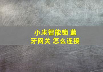 小米智能锁 蓝牙网关 怎么连接